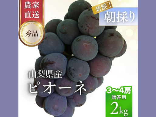 山梨産 ピオーネ